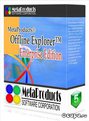 Offline Explorer 1 computer license