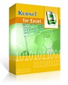 Kernel for Excel Repair Home License