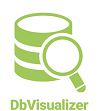 DbVisualizer Pro License with Basic Support 1 user
