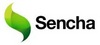 Sencha Test Pro Term 1 yr. Subscription, named user, Per user, ENG, MP, ESD