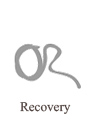 Recovery for Oracle