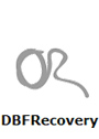 DBFRecovery Standard License