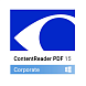 ContentReader PDF Corporate. Пакеты лицензий Remote User