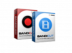 Bandicam + Bandicut Package персональная лицензия на 1 ПК на 1 год